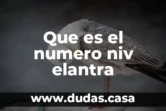 Que es el numero niv elantra