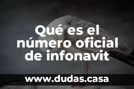 Qué es el número oficial de infonavit