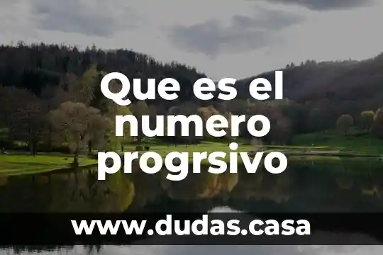 Que es el numero progrsivo