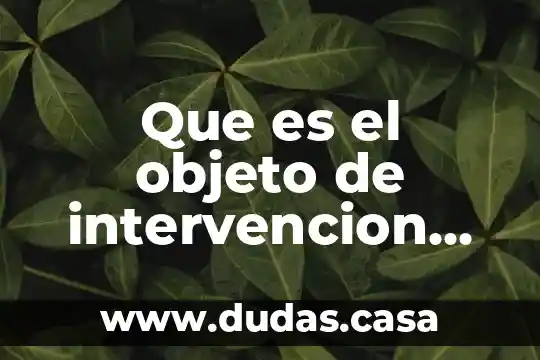 Que es el objeto de intervencion definicion
