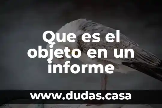 Que es el objeto en un informe