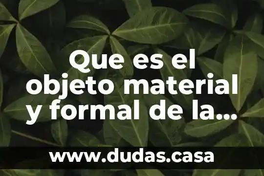 Que es el objeto material y formal de la logica