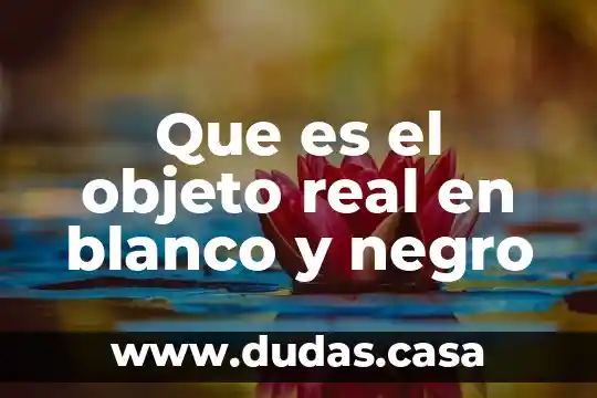 Que es el objeto real en blanco y negro
