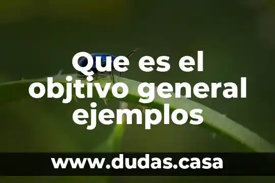 Que es el objtivo general ejemplos