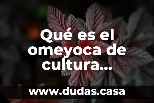 Qué es el omeyoca de cultura mesoamérica