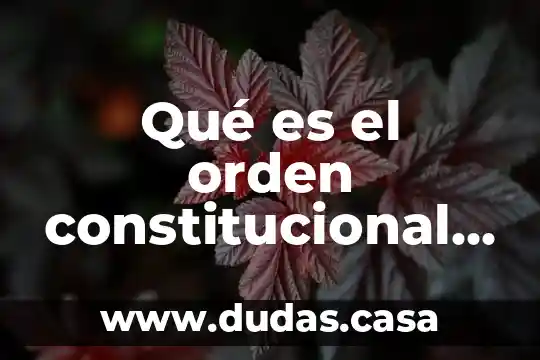 Qué es el orden constitucional en México