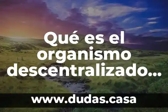Qué es el organismo descentralizado de ags