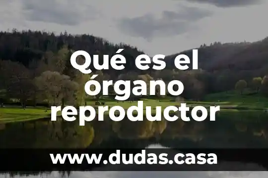 Qué es el órgano reproductor