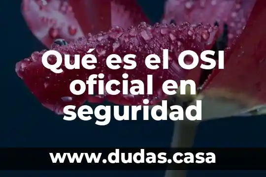 Qué es el OSI oficial en seguridad