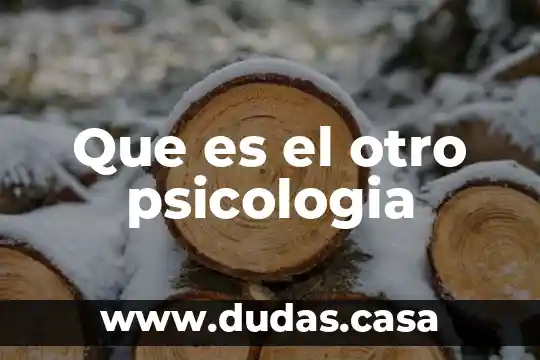 Que es el otro psicologia