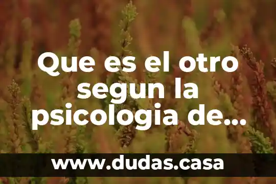 Que es el otro segun la psicologia de henri wualon