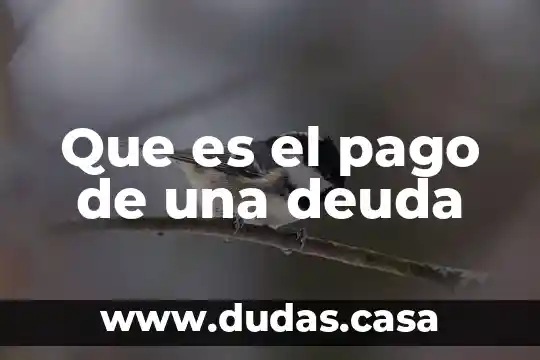 Que es el pago de una deuda