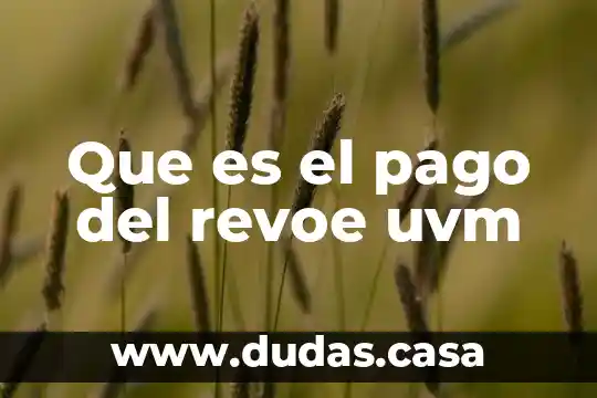 Que es el pago del revoe uvm