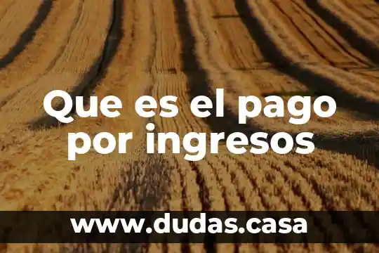 Que es el pago por ingresos