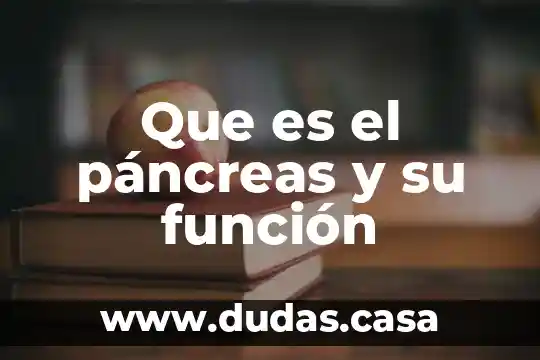 Que es el páncreas y su función