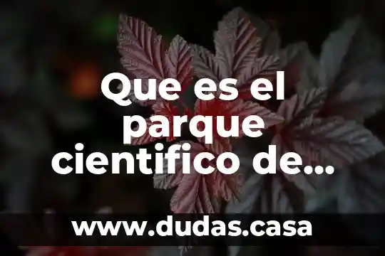 Que es el parque cientifico de yucatan