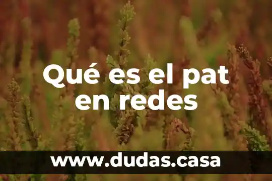 Qué es el pat en redes