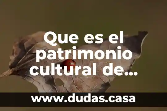 Que es el patrimonio cultural de veracruz