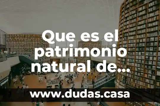 Que es el patrimonio natural de chihuahua chih