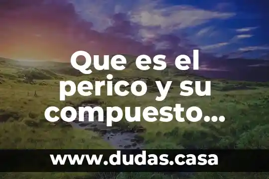 Que es el perico y su compuesto quimicos contiene