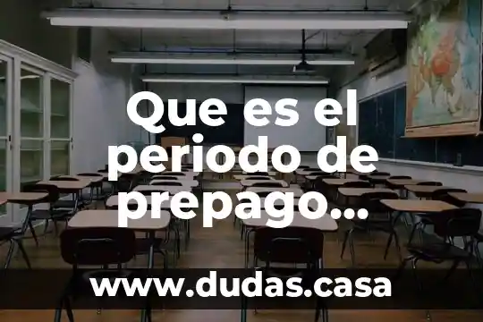 Que es el periodo de prepago definicion