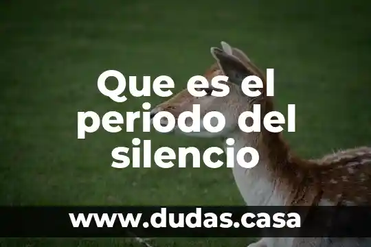 Que es el periodo del silencio