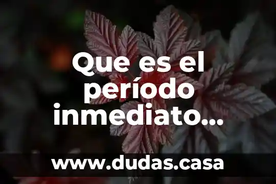 Que es el período inmediato constituyente