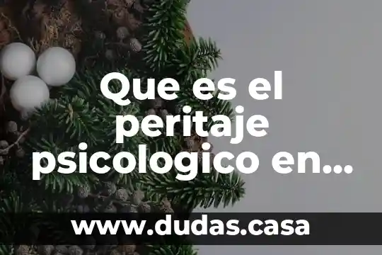 Que es el peritaje psicologico en el derecho