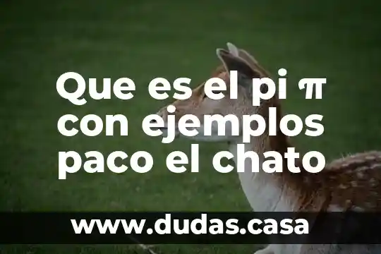 Que es el pi π con ejemplos paco el chato