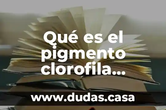 Qué es el pigmento clorofila química