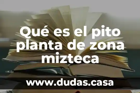 Qué es el pito planta de zona mizteca