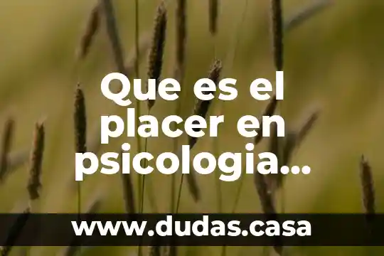 Que es el placer en psicologia foucault