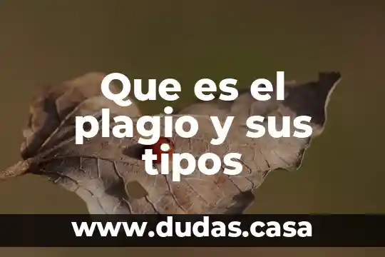 Que es el plagio y sus tipos