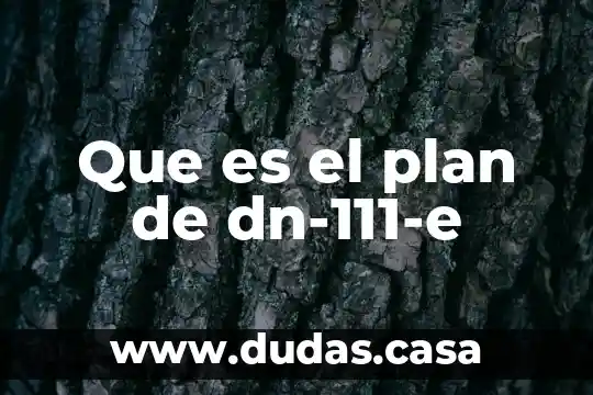 Que es el plan de dn-111-e