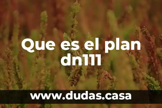 Que es el plan dn111