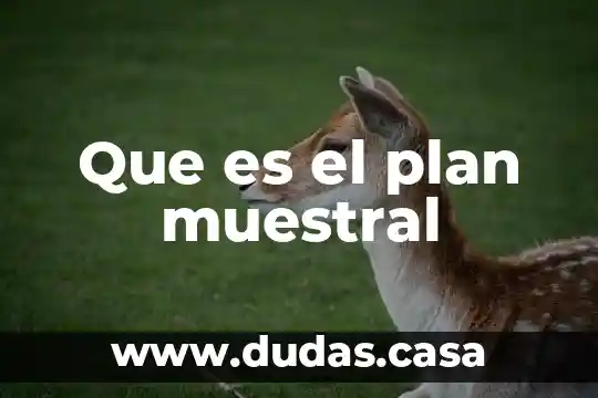 Que es el plan muestral