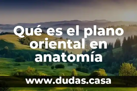 Qué es el plano oriental en anatomía