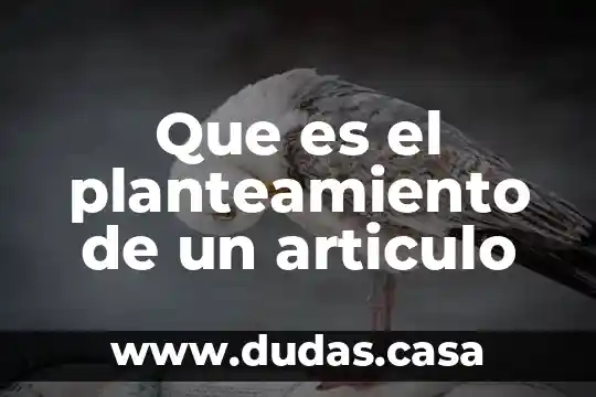 Que es el planteamiento de un articulo