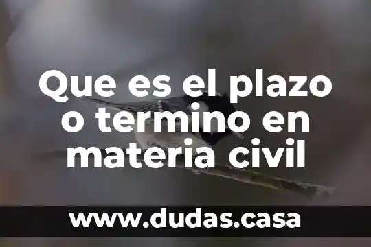 Que es el plazo o termino en materia civil