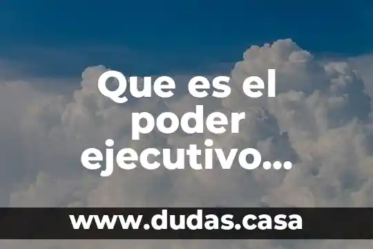 Que es el poder ejecutivo segun la constitucion