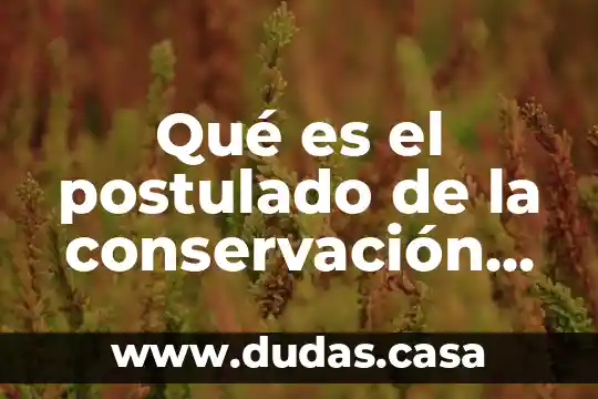Qué es el postulado de la conservación de la masa