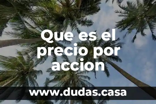Que es el precio por accion