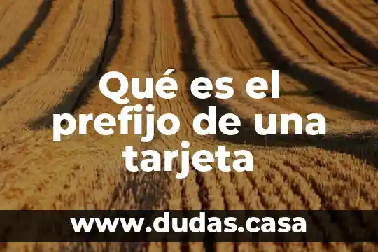 Qué es el prefijo de una tarjeta