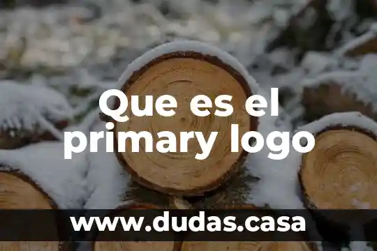 Que es el primary logo