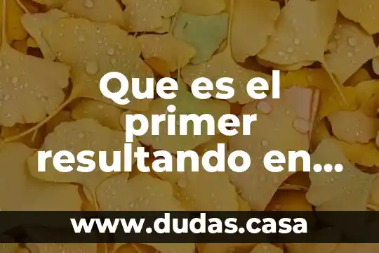 Que es el primer resultando en materia de amparo