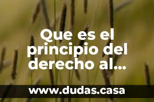 Que es el principio del derecho al minimo indispensable