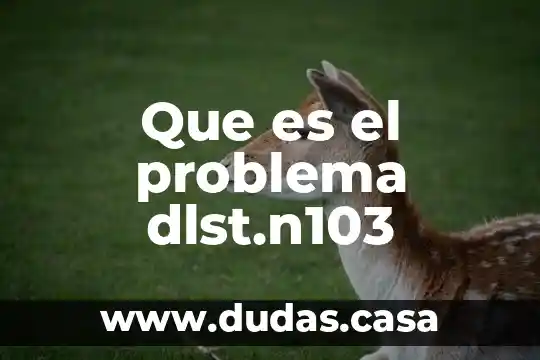 Que es el problema dlst.n103