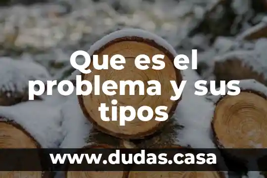 Que es el problema y sus tipos