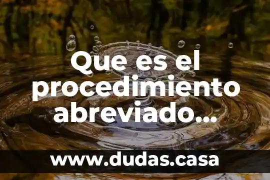 Que es el procedimiento abreviado concepto
