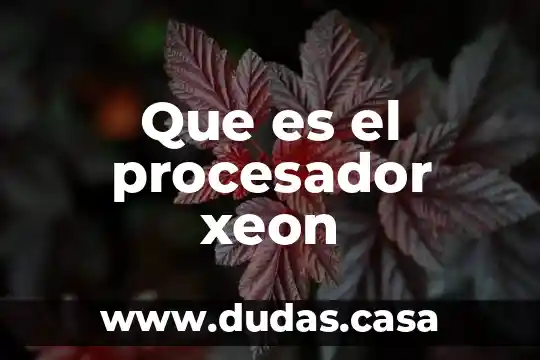 Que es el procesador xeon